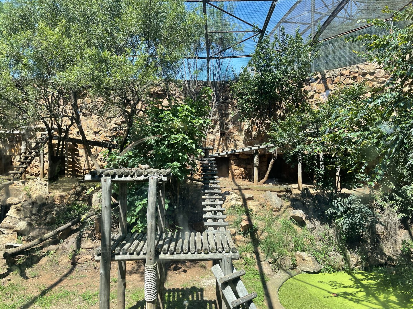 African Leopard Exhibit