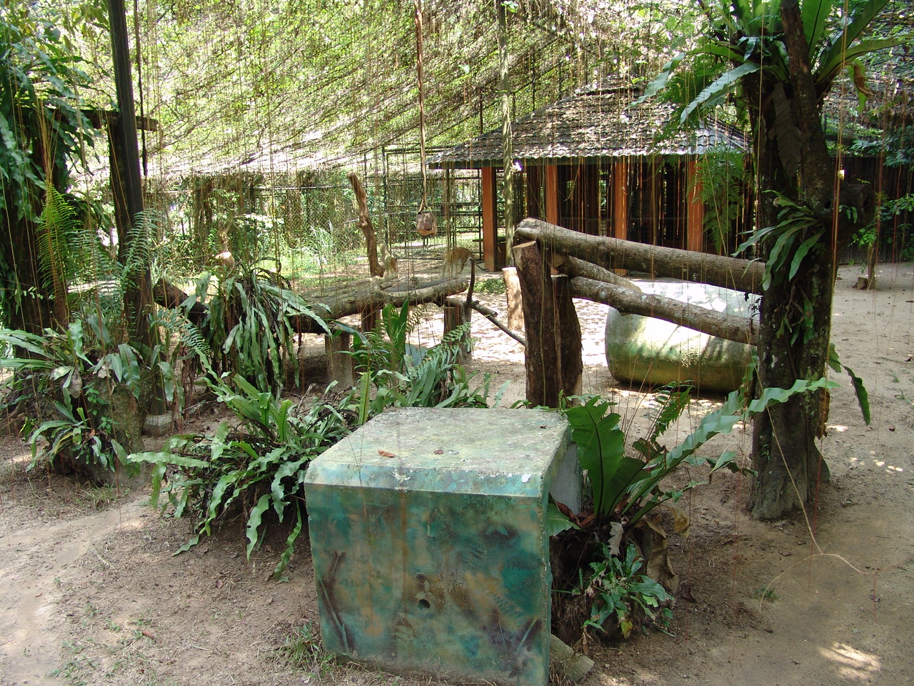 African leopard's (Panthera pardus) enclosure