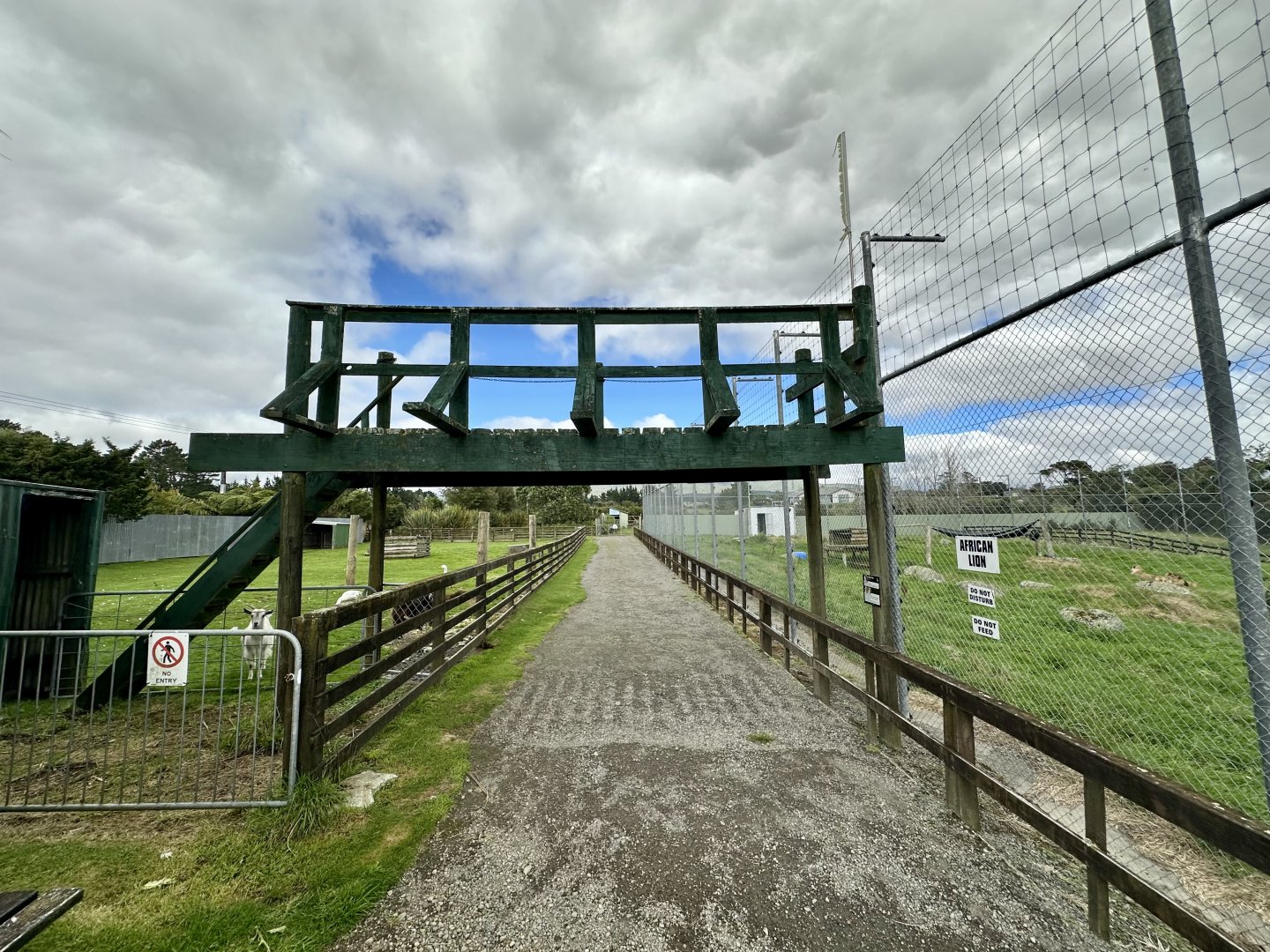 African Lion Complex - Feeding Bridge