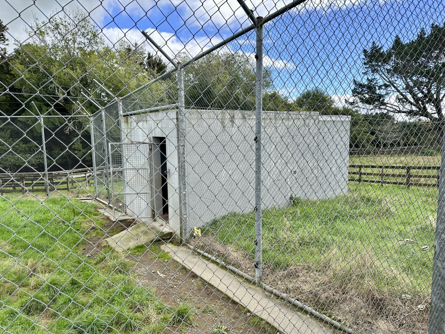 African Lion Complex - North Dens