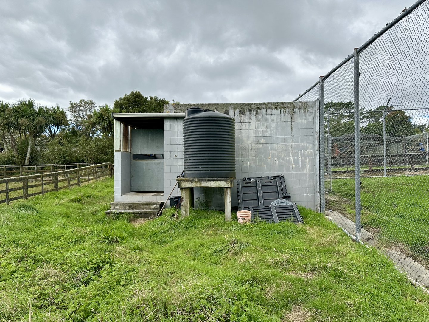 African Lion Complex - North Dens