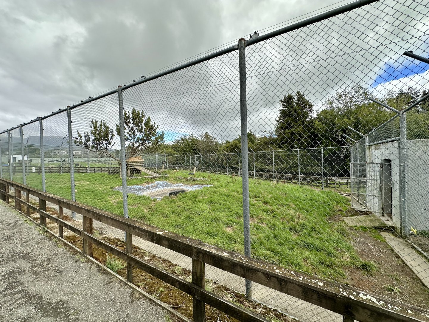 African Lion Complex - North Exhibit