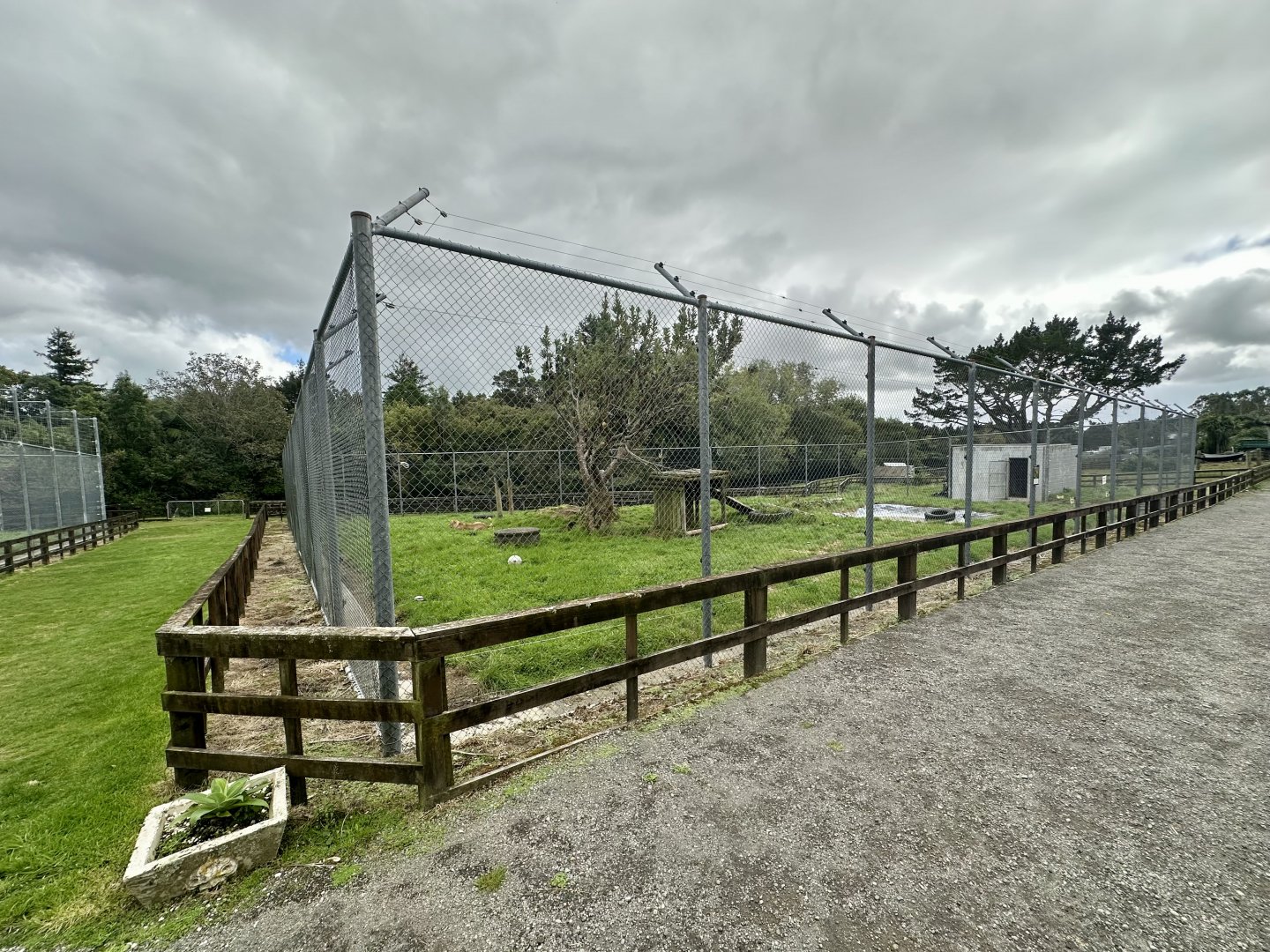 African Lion Complex - North Exhibit