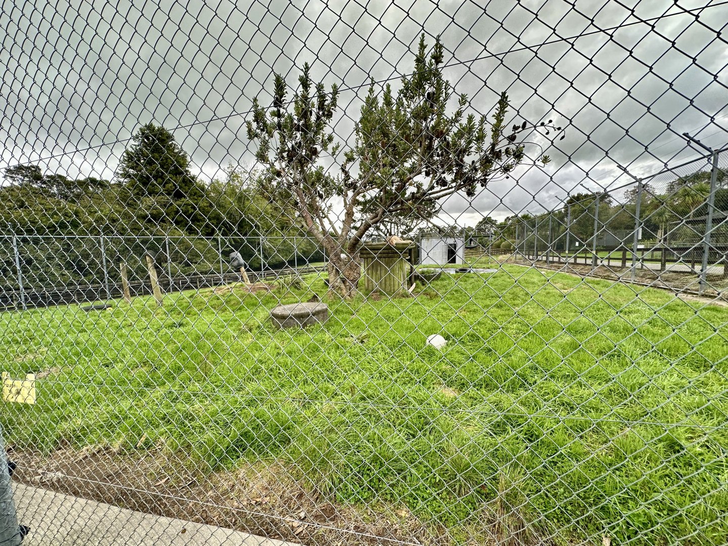 African Lion Complex - North Exhibit