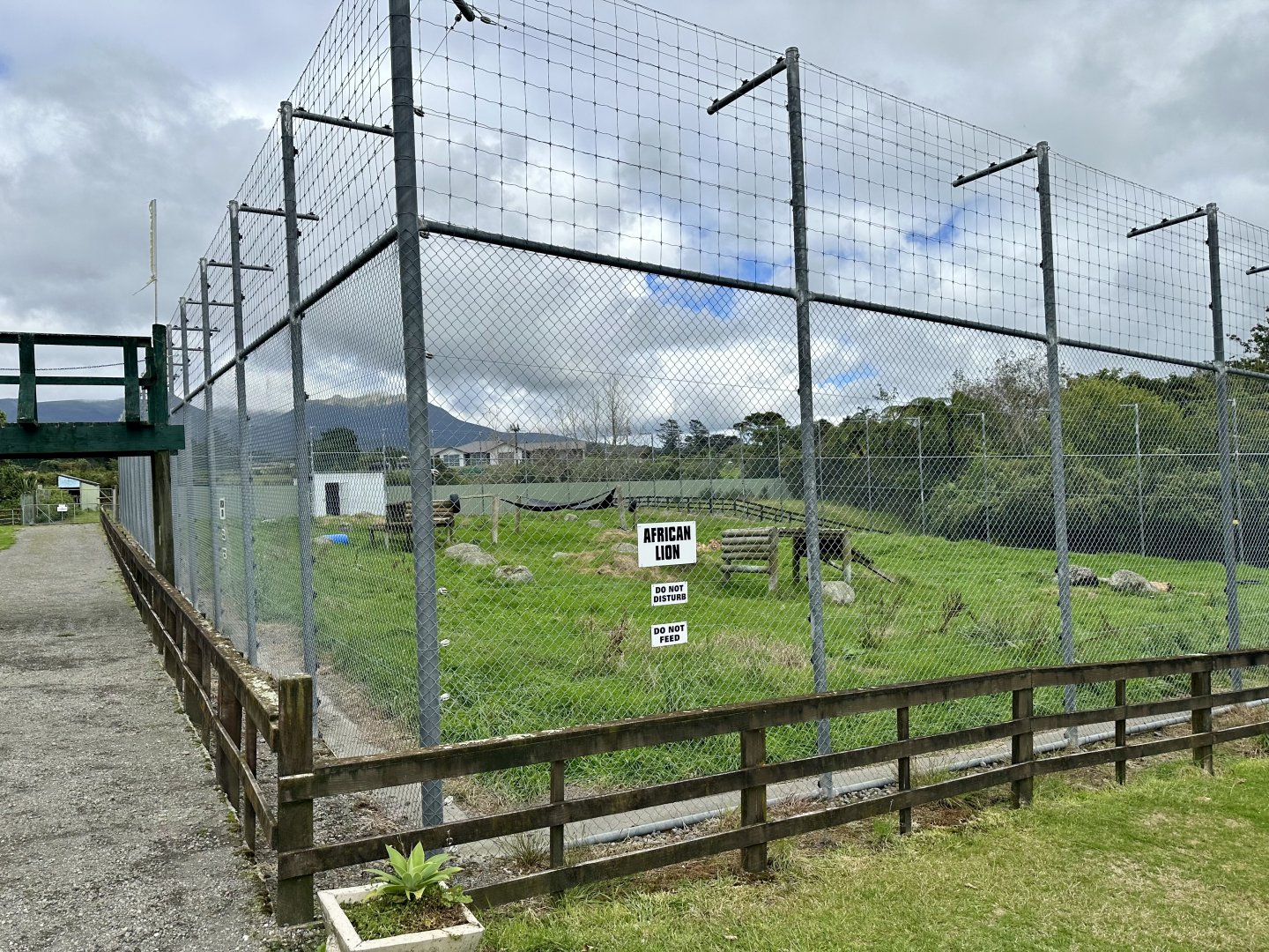 African Lion Complex - South Exhibit