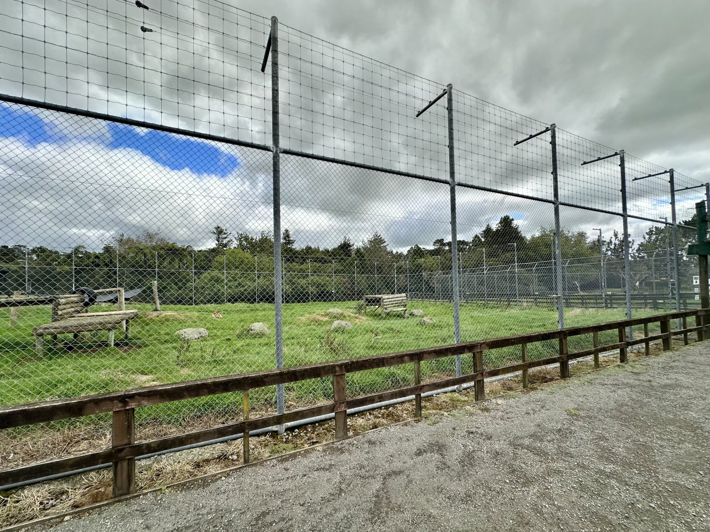 African Lion Complex - South Exhibit
