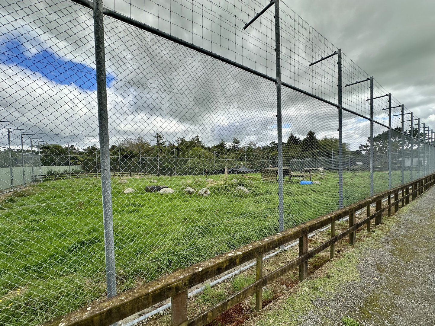 African Lion Complex - South Exhibit