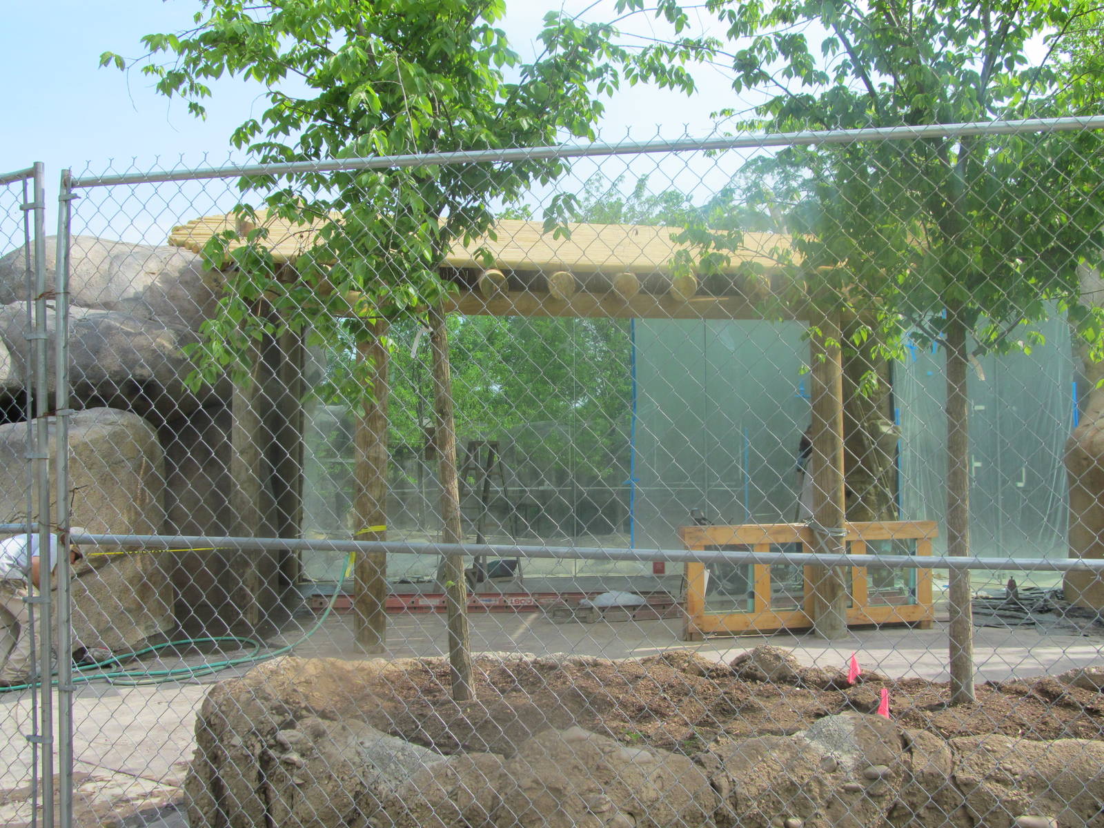 African Lion construction (5/13)