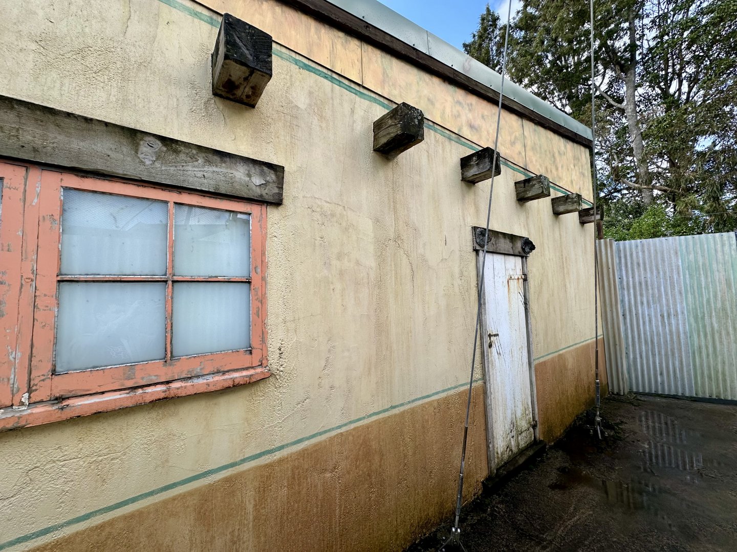 African Lion Den Building