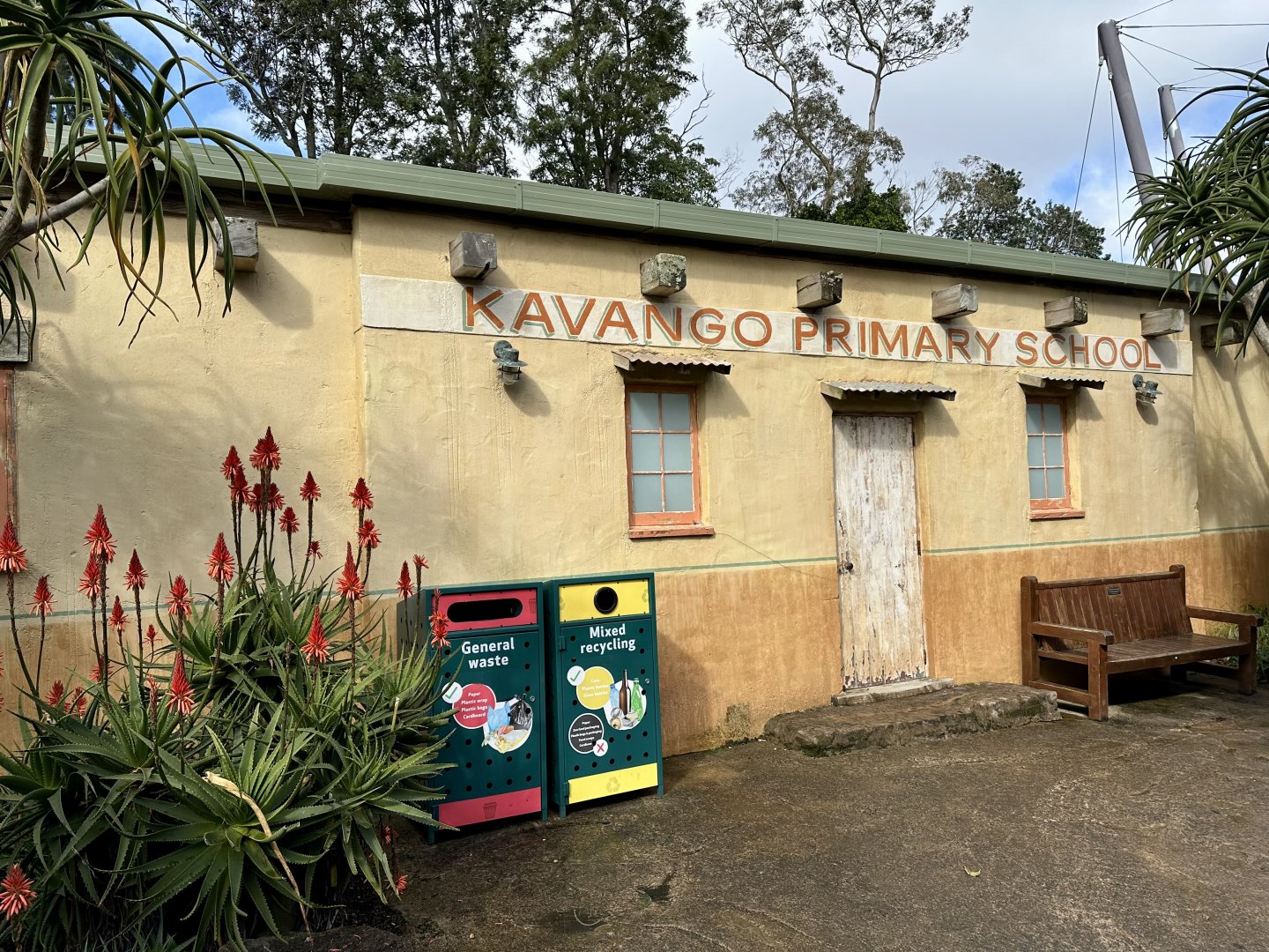 African Lion Den Building