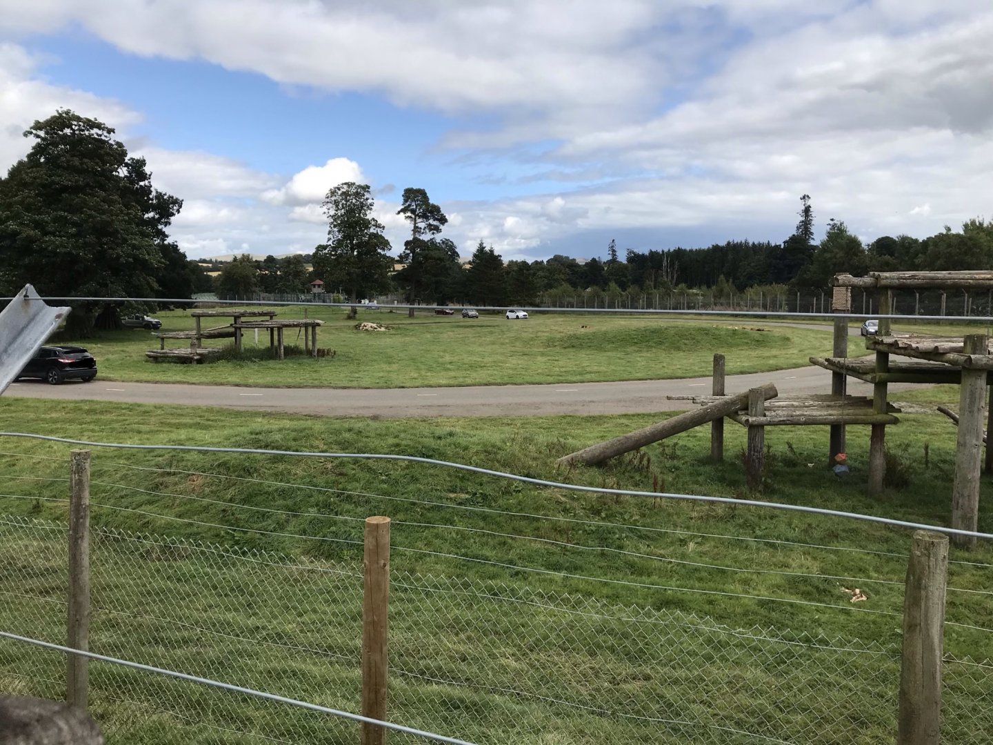 African lion drive thru enclosure