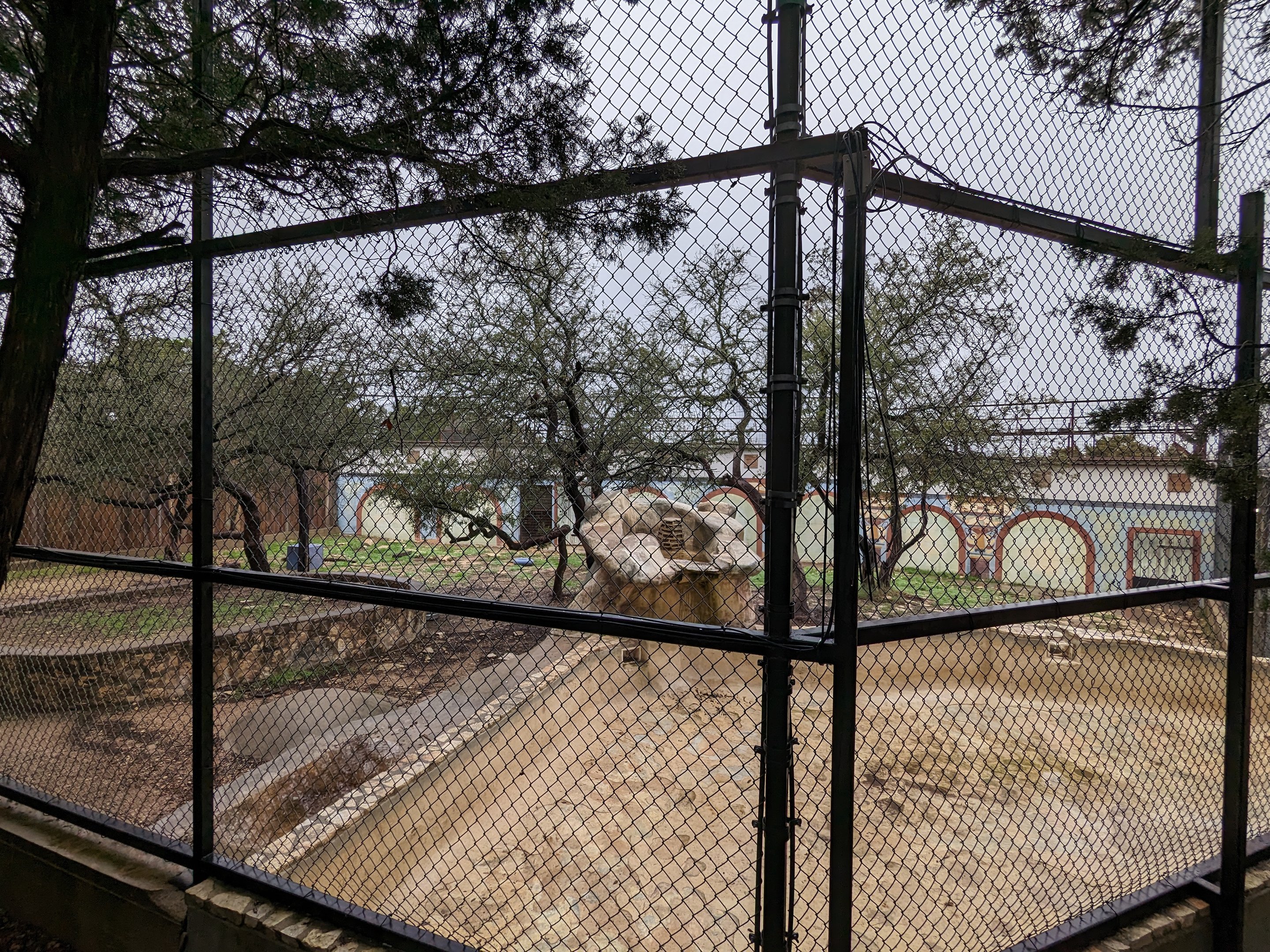 African lion enclosure #1