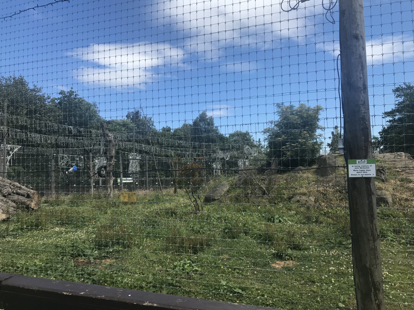 African lion enclosure (2)