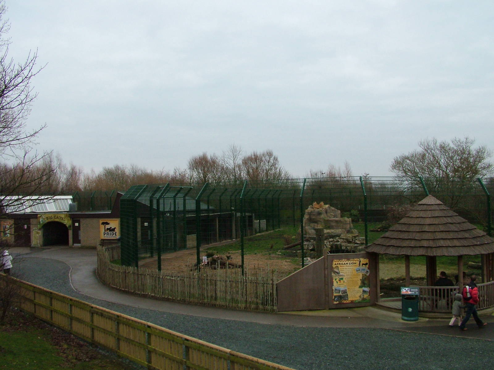 African Lion enclosure at Blackpool Zoo, Feb 09