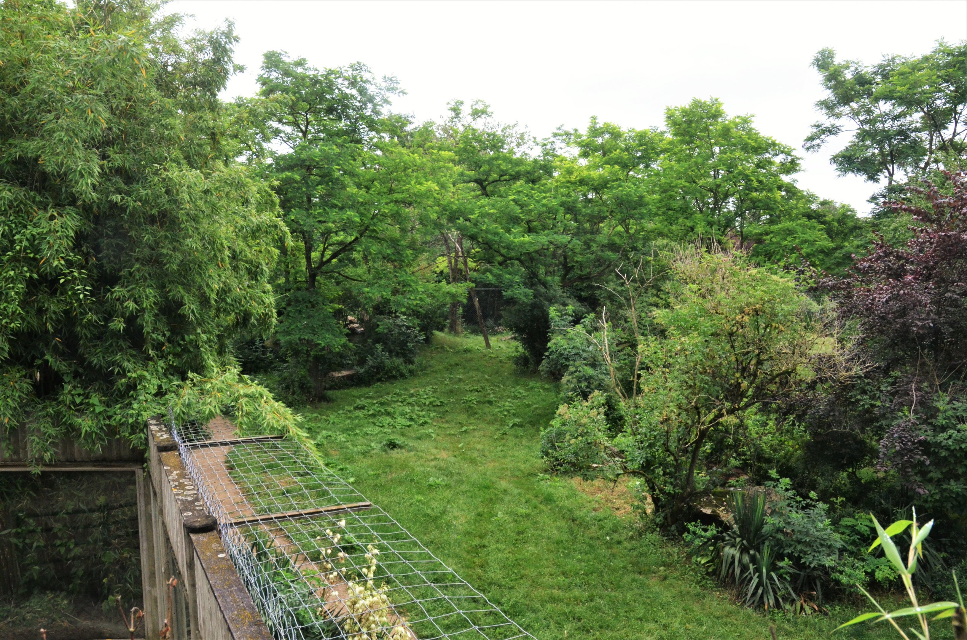 African Lion Enclosure at Doué-la-Fontaine, 15/06/18