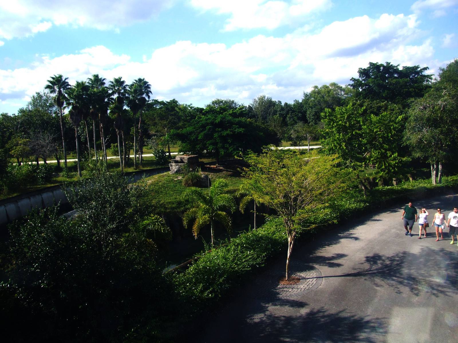African Lion Enclosure at Miami, 12/10/13