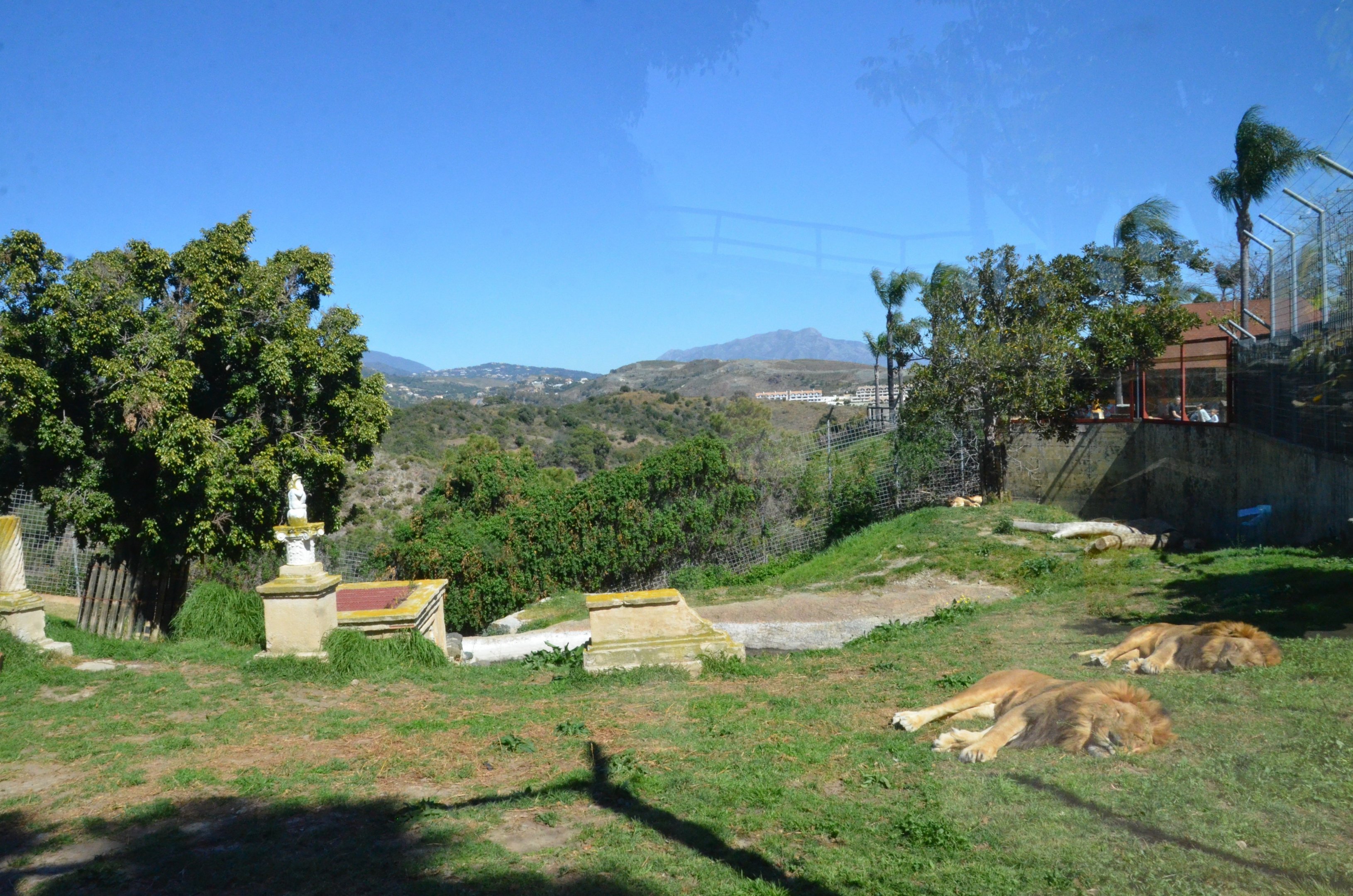 African Lion Enclosure at Selwo Aventura, 13/03/19