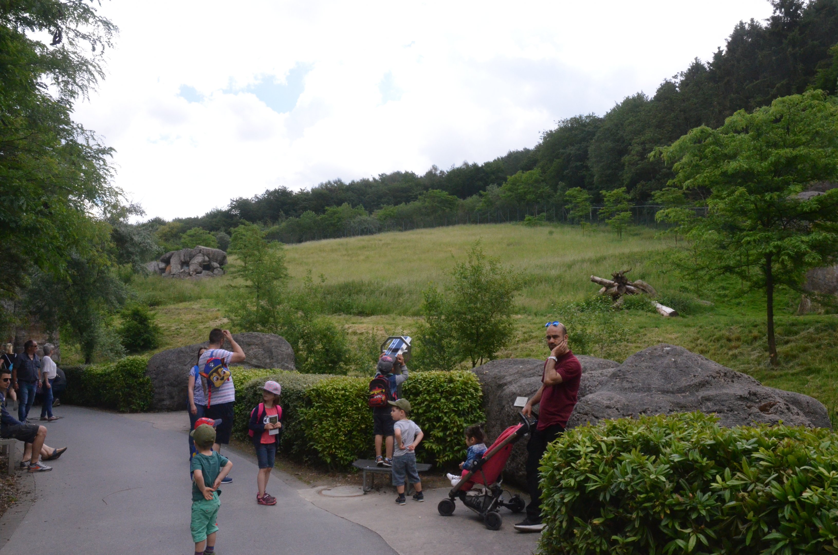African Lion Enclosure at Wuppertal, 16/06/19