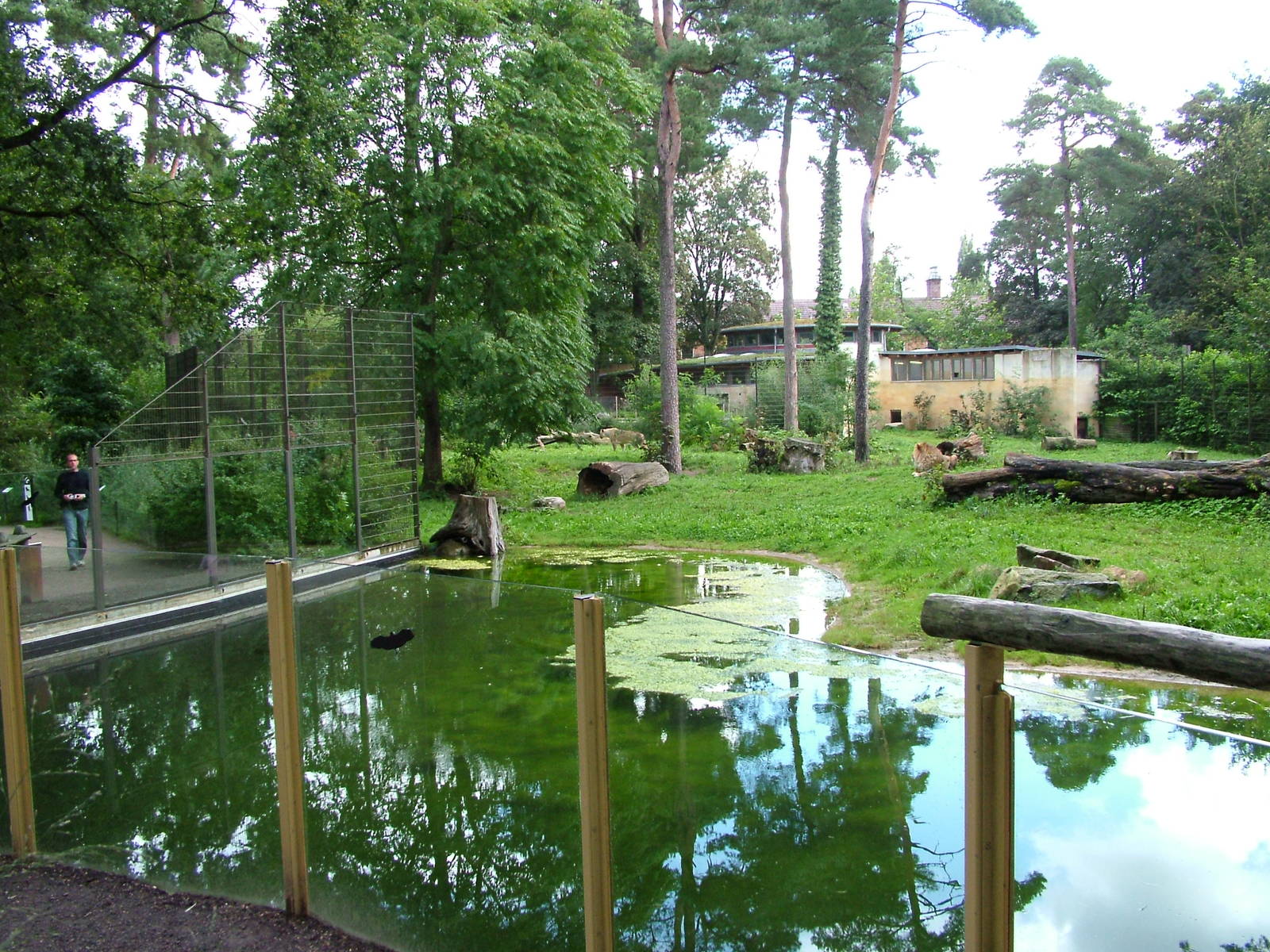 African Lion enclosure at Zoo Rostock Sept 2007