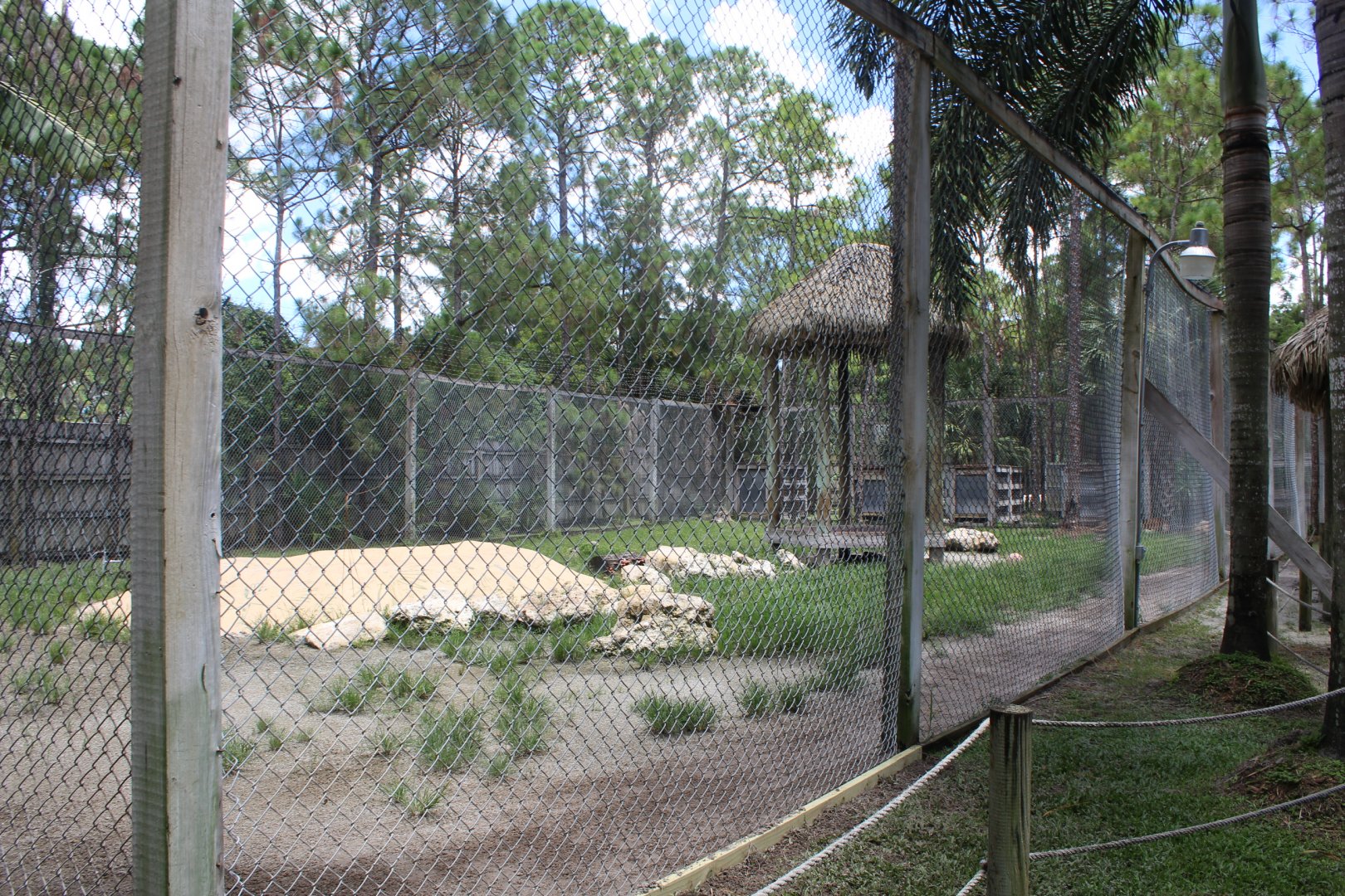 African Lion Enclosure - Mccarthy Wildlife Sanctuary