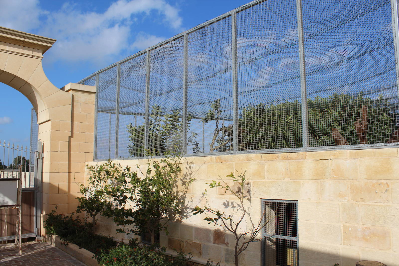 African Lion Enclosure - MonteKristo Animal Park