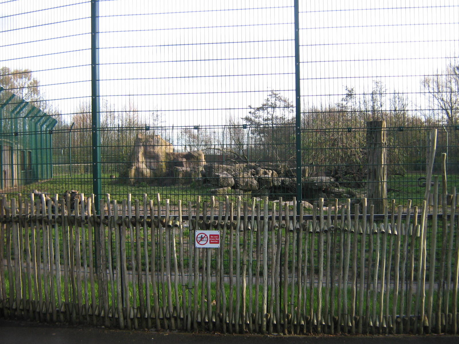 African Lion Enclosure.