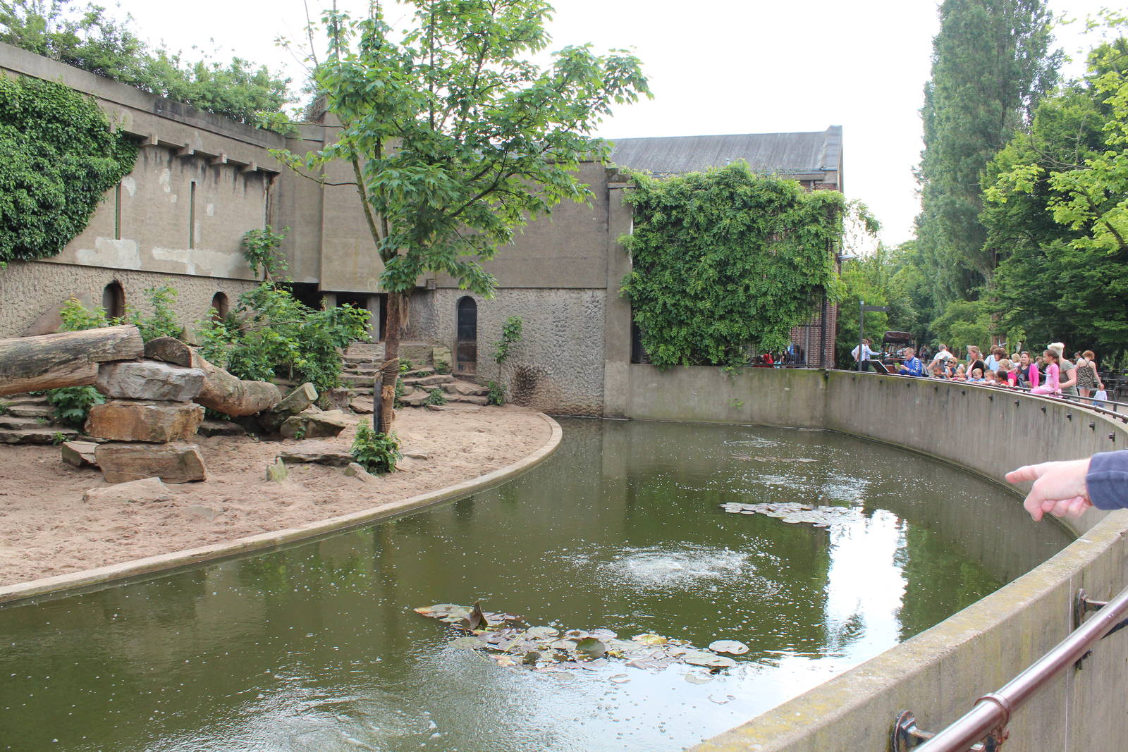 African Lion Enclosure