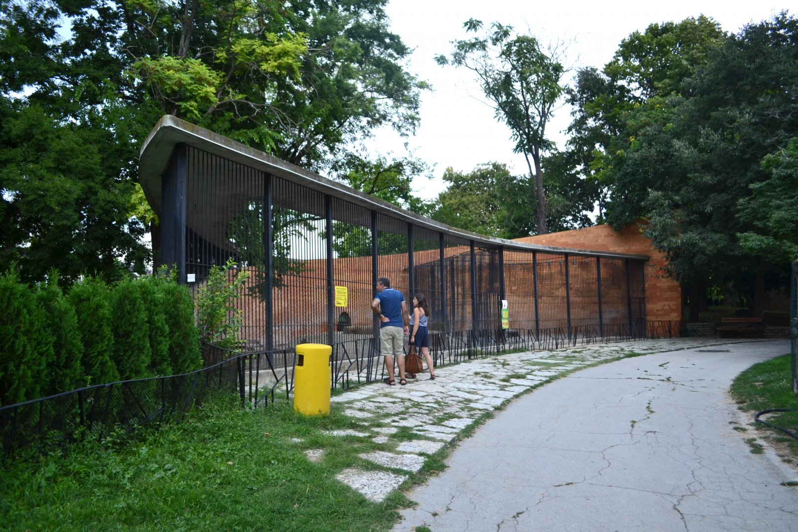 African lion enclosure