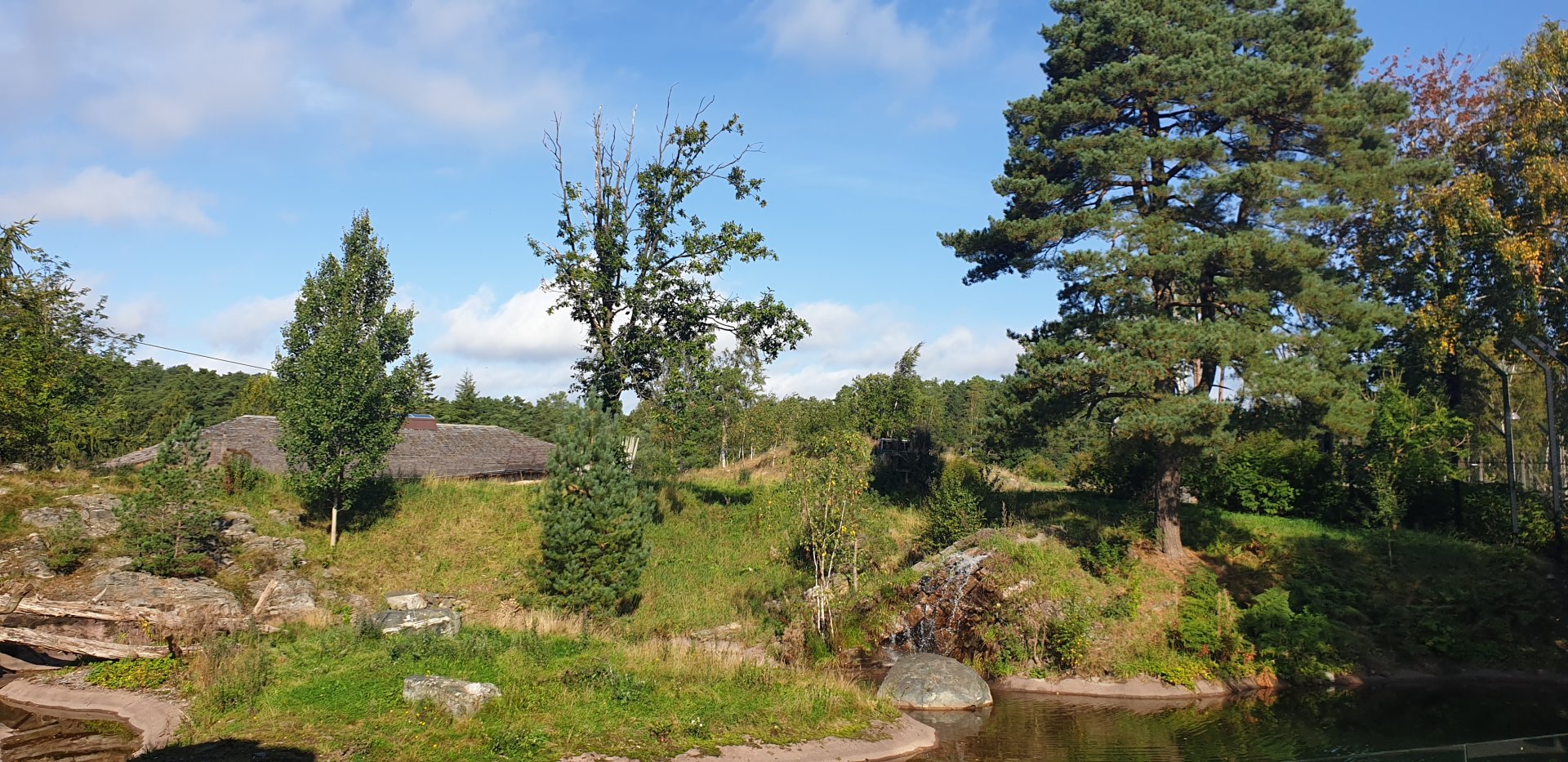 African Lion enclosure