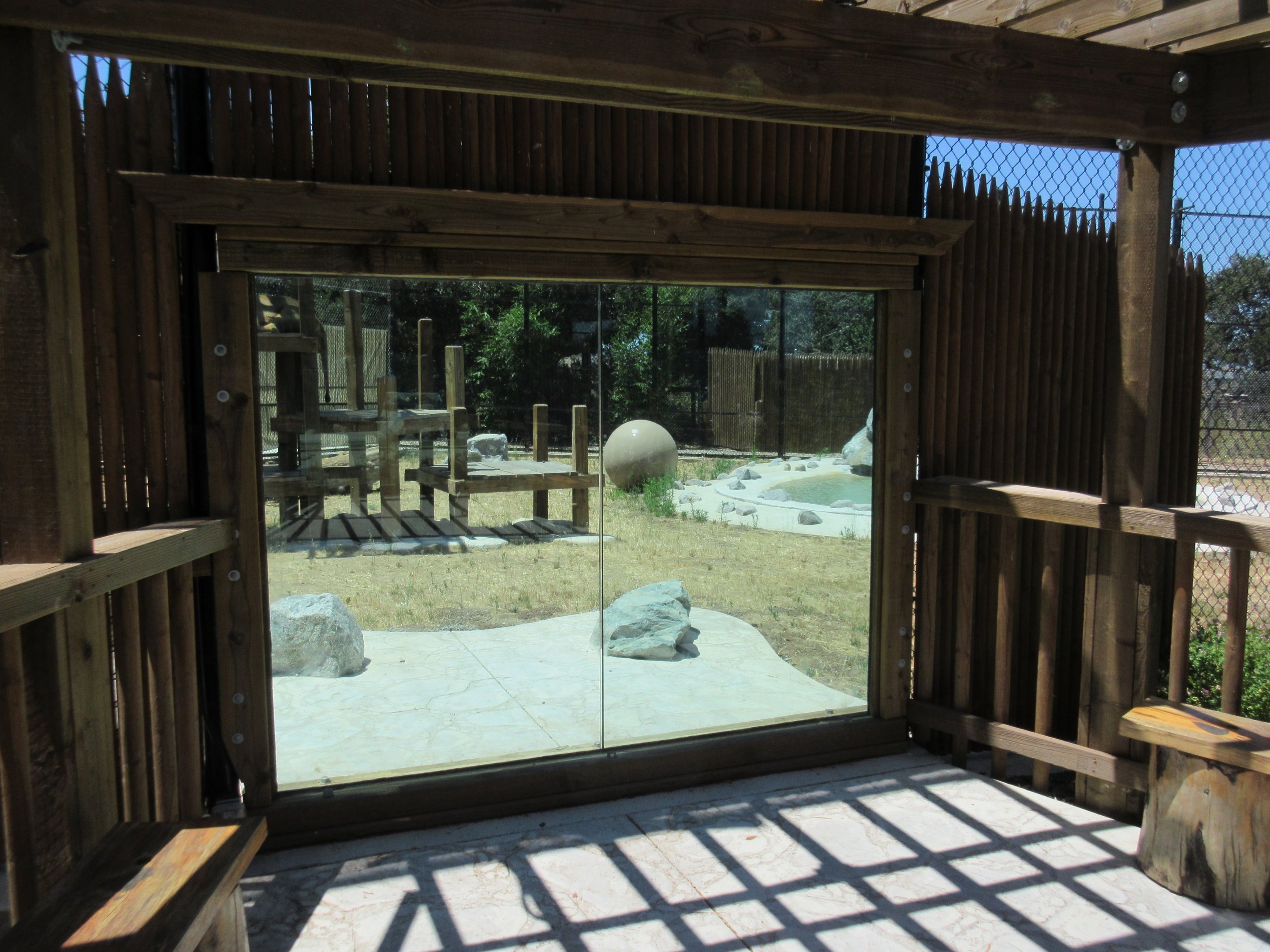 African Lion Exhibit #1 (New in 2016)