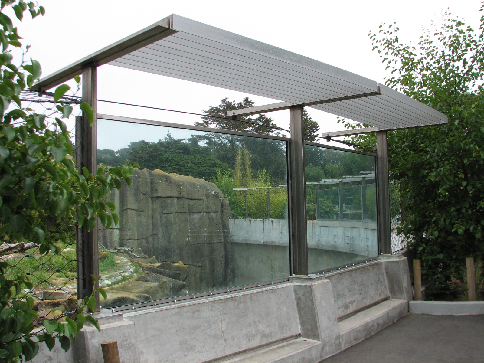 African Lion Exhibit 1 - Viewing Area