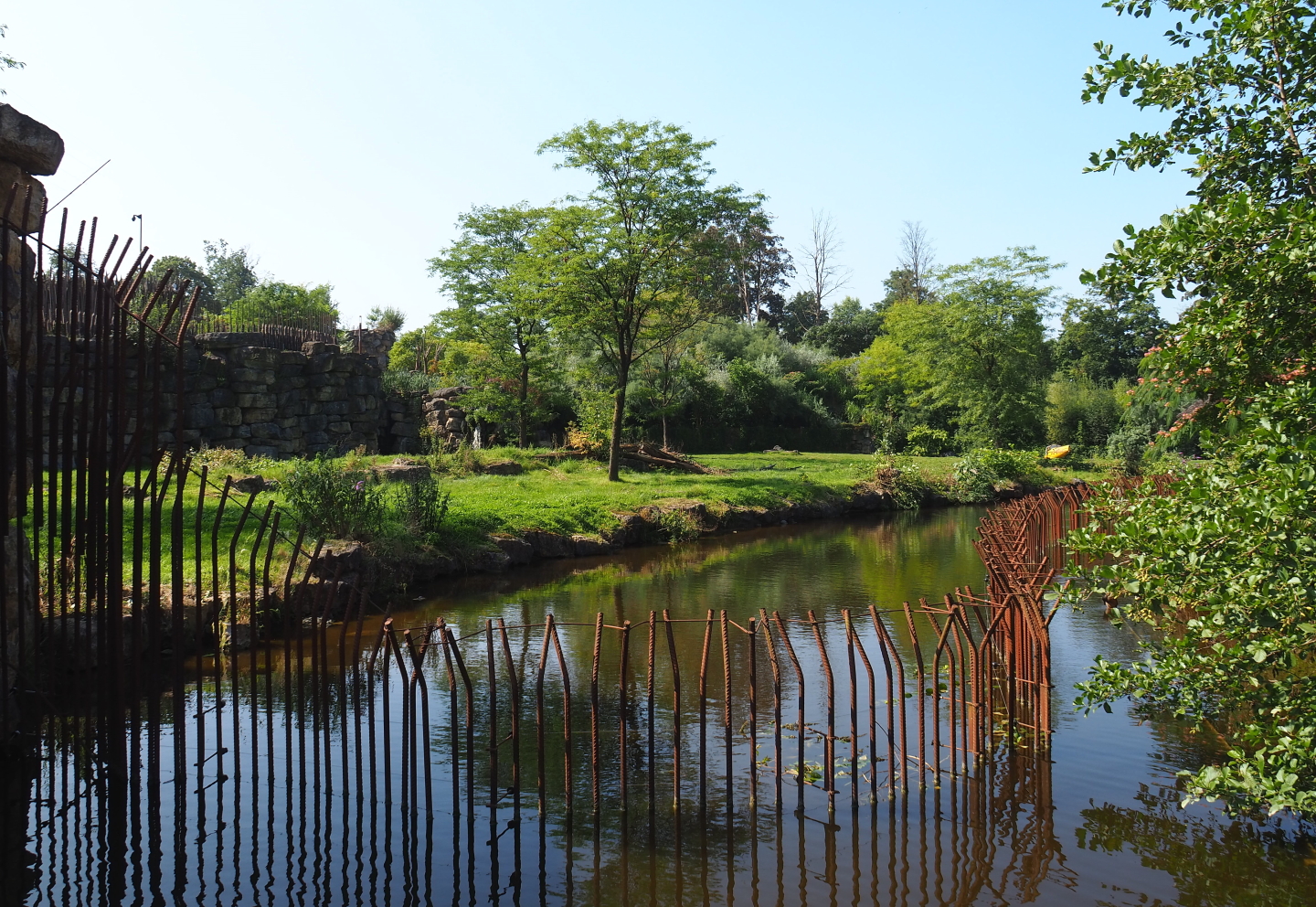 African lion exhibit, 2021-09-02