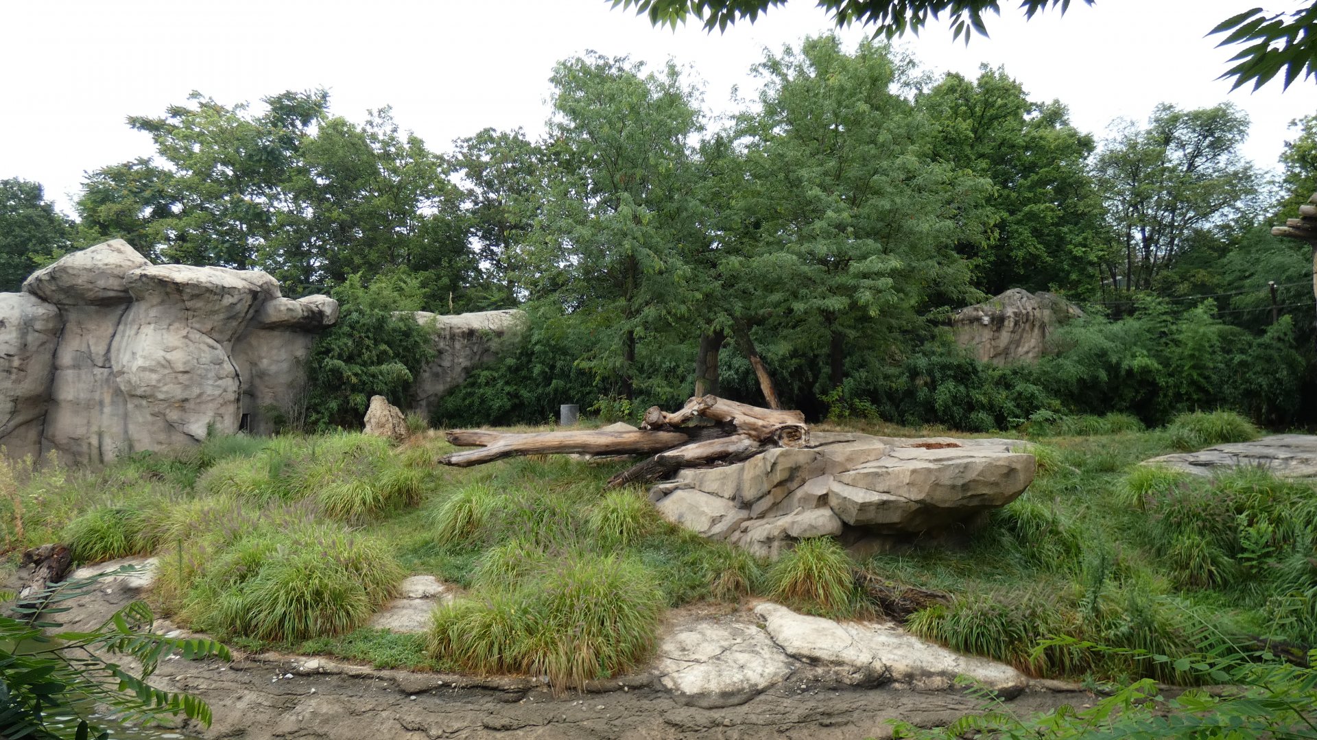 African Lion Exhibit, Africa - Aug. 2021