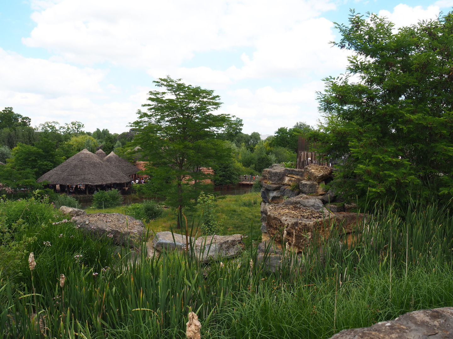 African lion exhibit and African village eating areas seen from the upper level of The Land of Origins, 2022-06-28