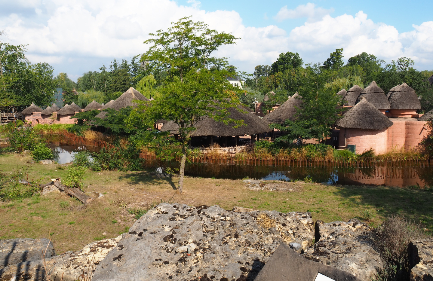 African lion exhibit and African village huts, 2020-09-02