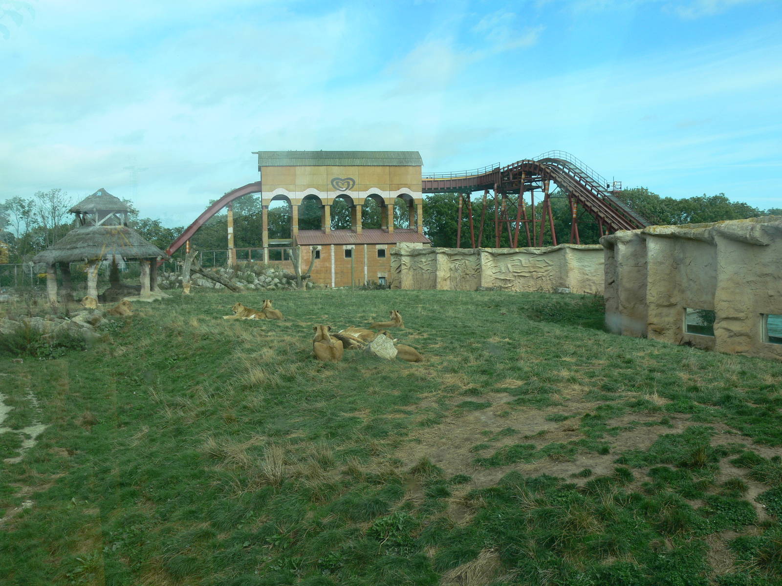 African Lion exhibit at Flamingo Land, 21/09/13