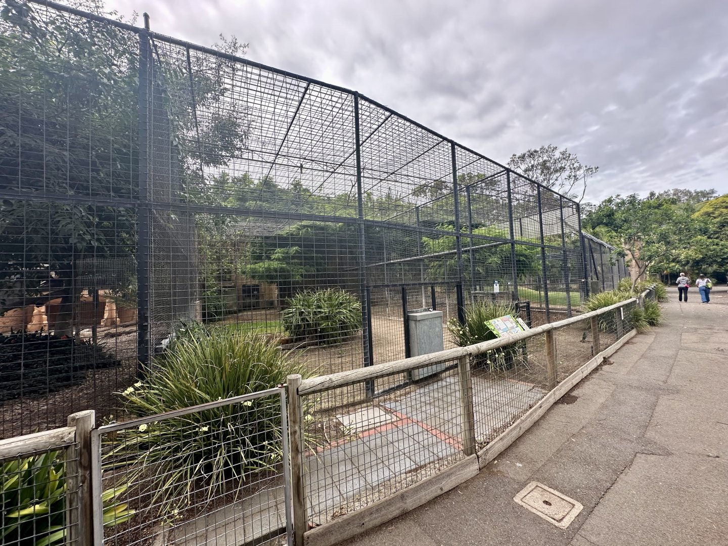 African Lion Exhibit - Cage/Den Block