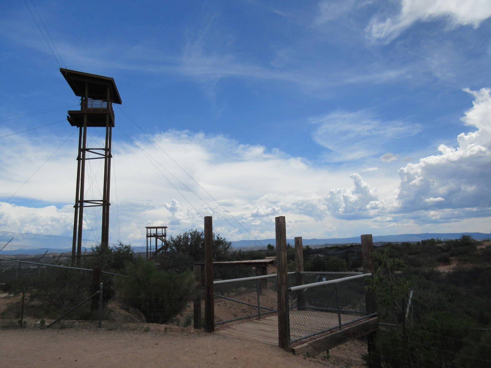 African Lion Exhibit (currently empty)