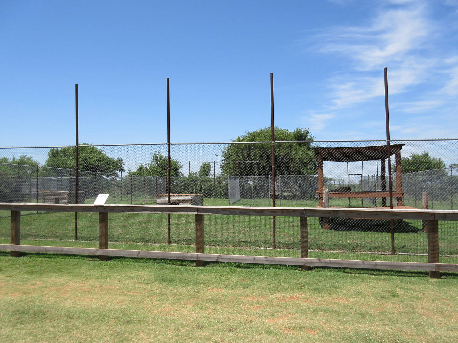African Lion Exhibit - is that fence high enough?
