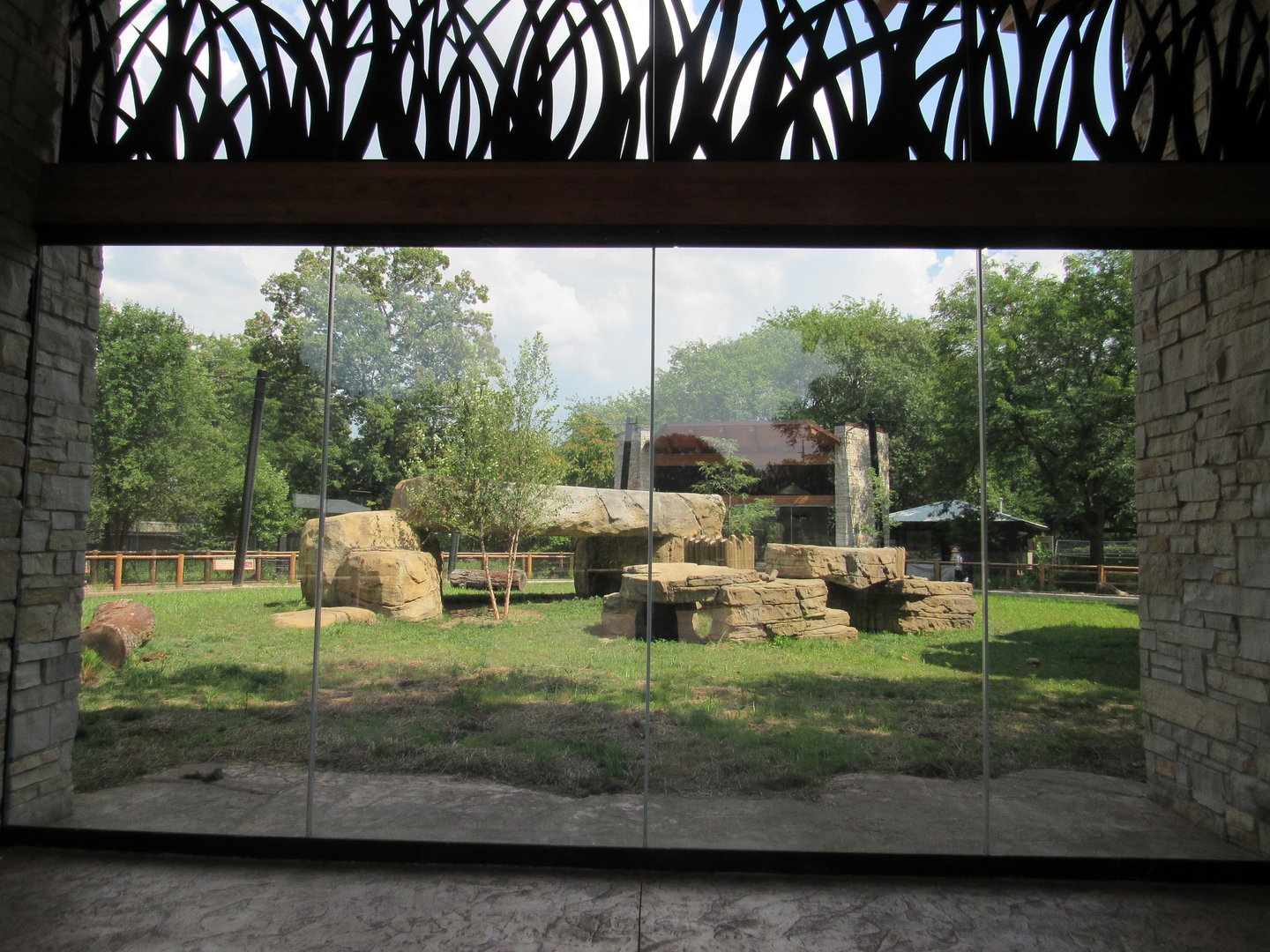 African Lion Exhibit (New in 2023)