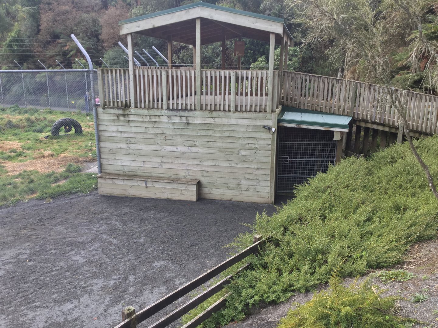 African Lion Exhibit - Night Dens/Observation Deck