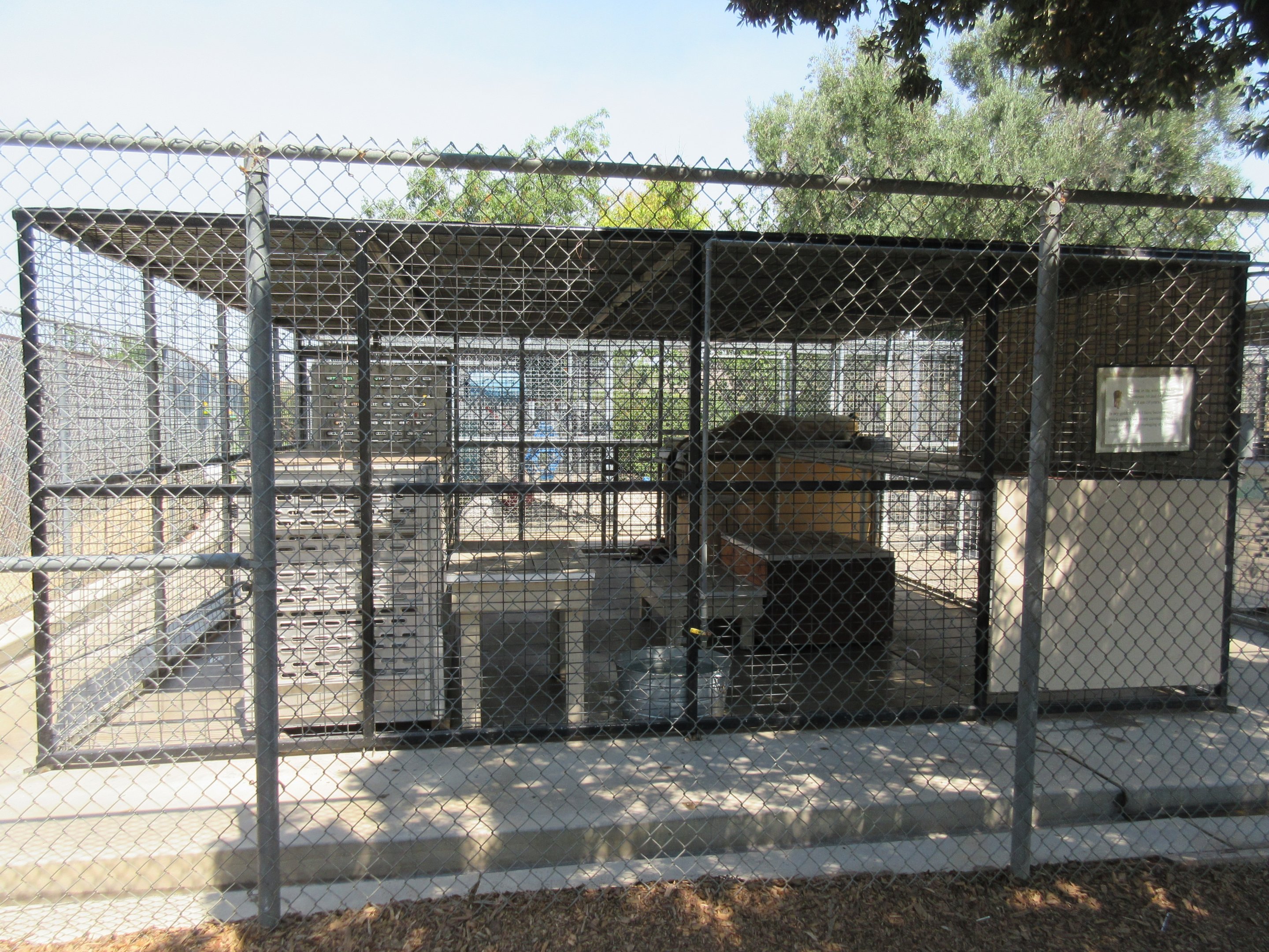 African Lion Exhibit (one of several nasty-looking little carnivore cages)