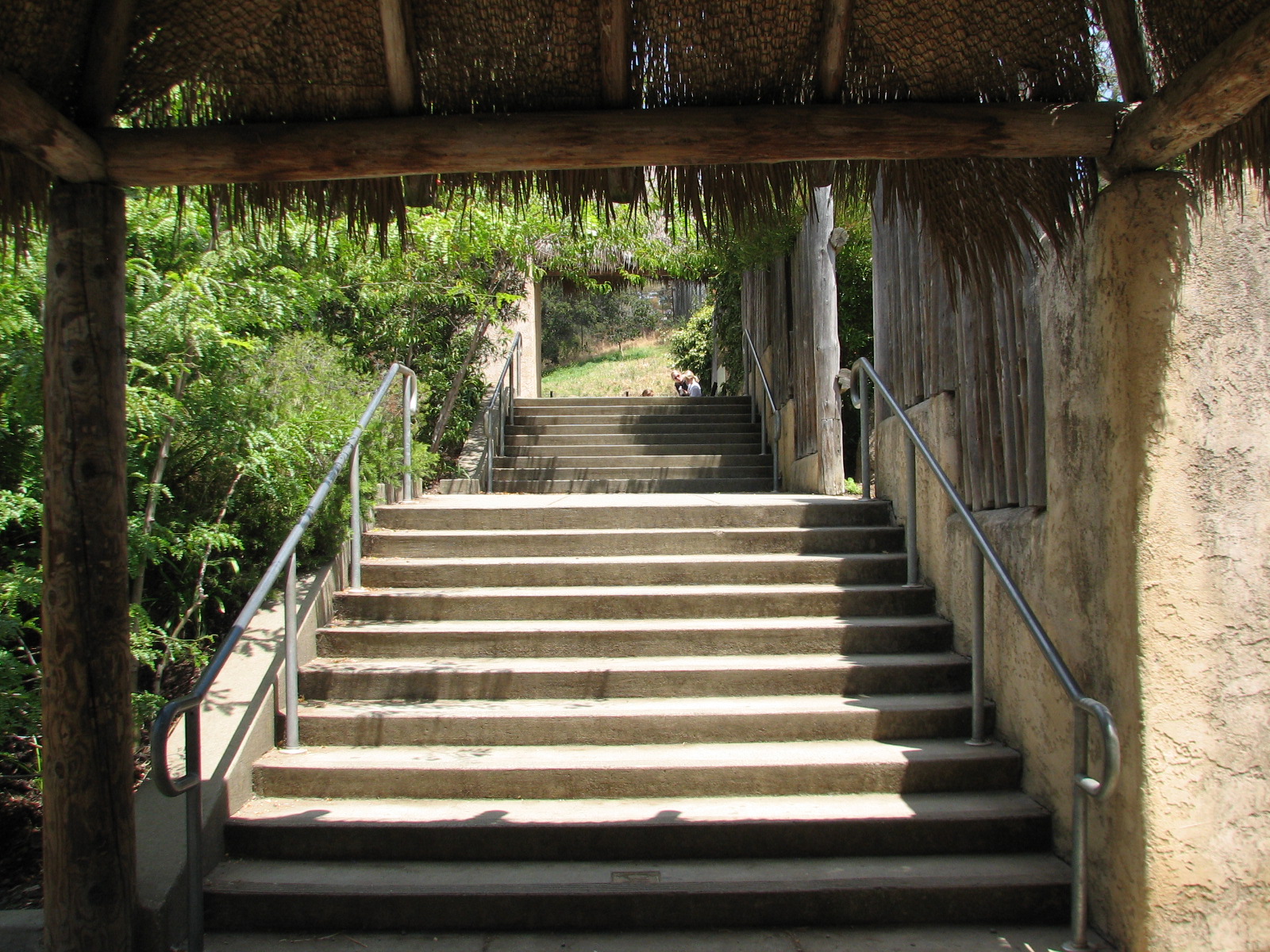 African Lion Exhibit - Stairs