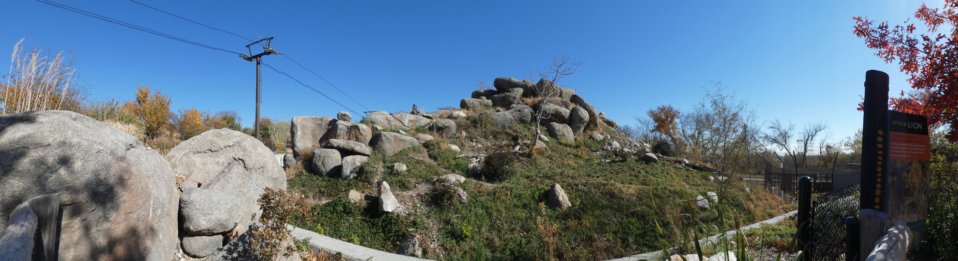 African Lion Exhibit, The African Grasslands - Oct. 2022