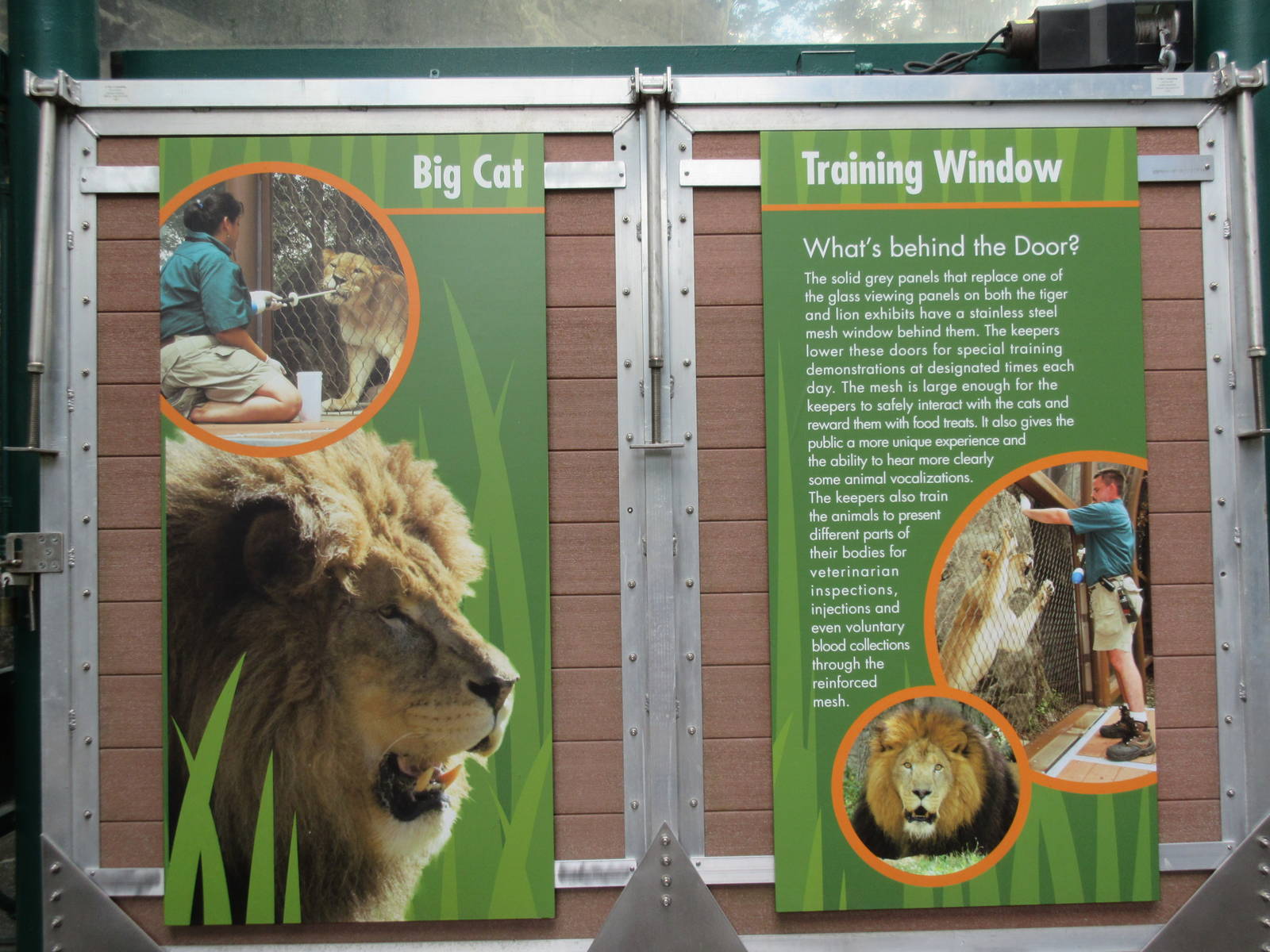 African Lion Exhibit - Training Wall Sign