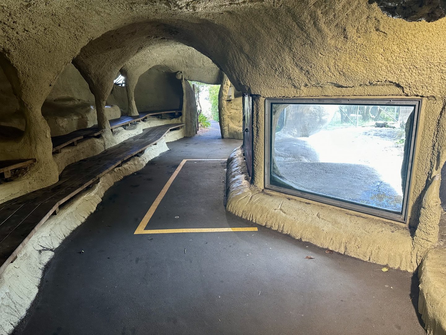 African Lion Exhibit - Viewing Cave