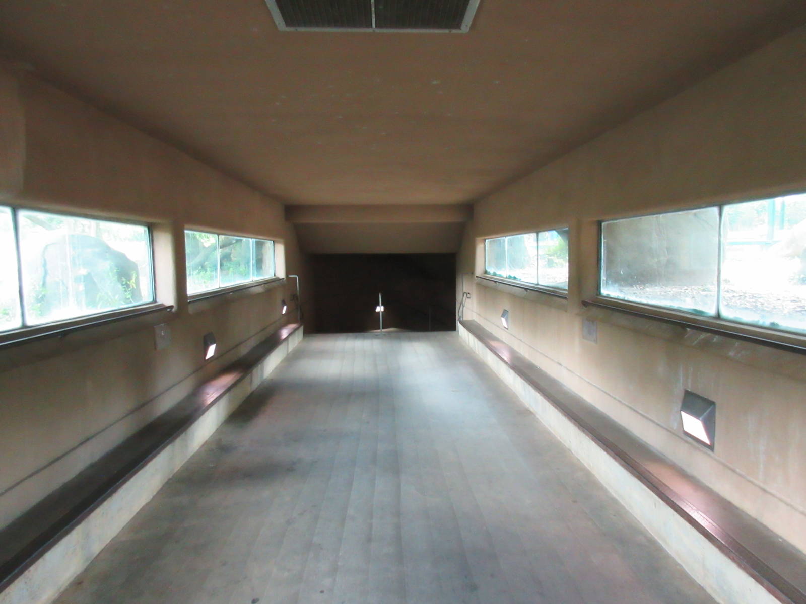 African Lion Exhibit - Viewing Tunnel