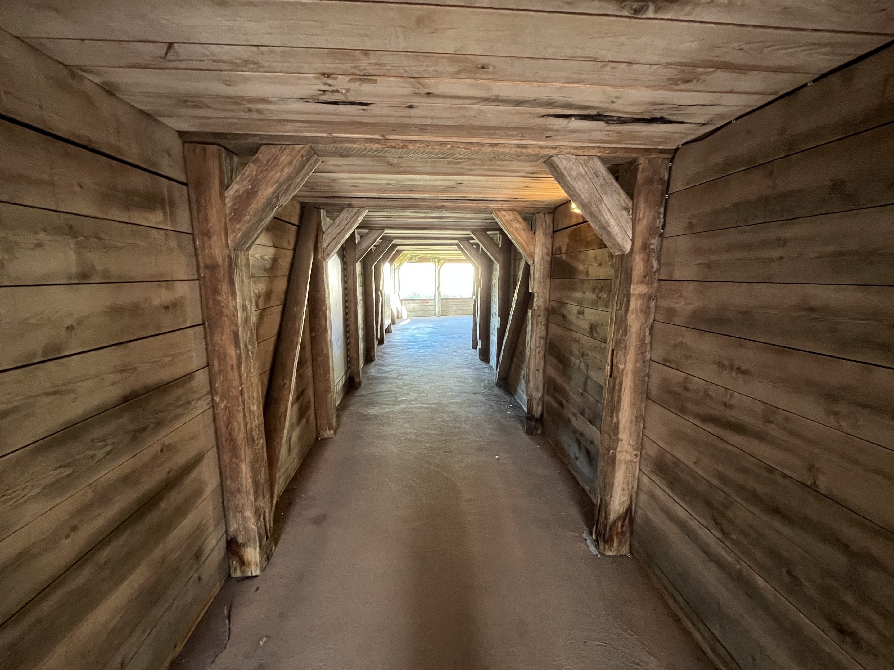 African Lion Exhibit - visitor tunnel