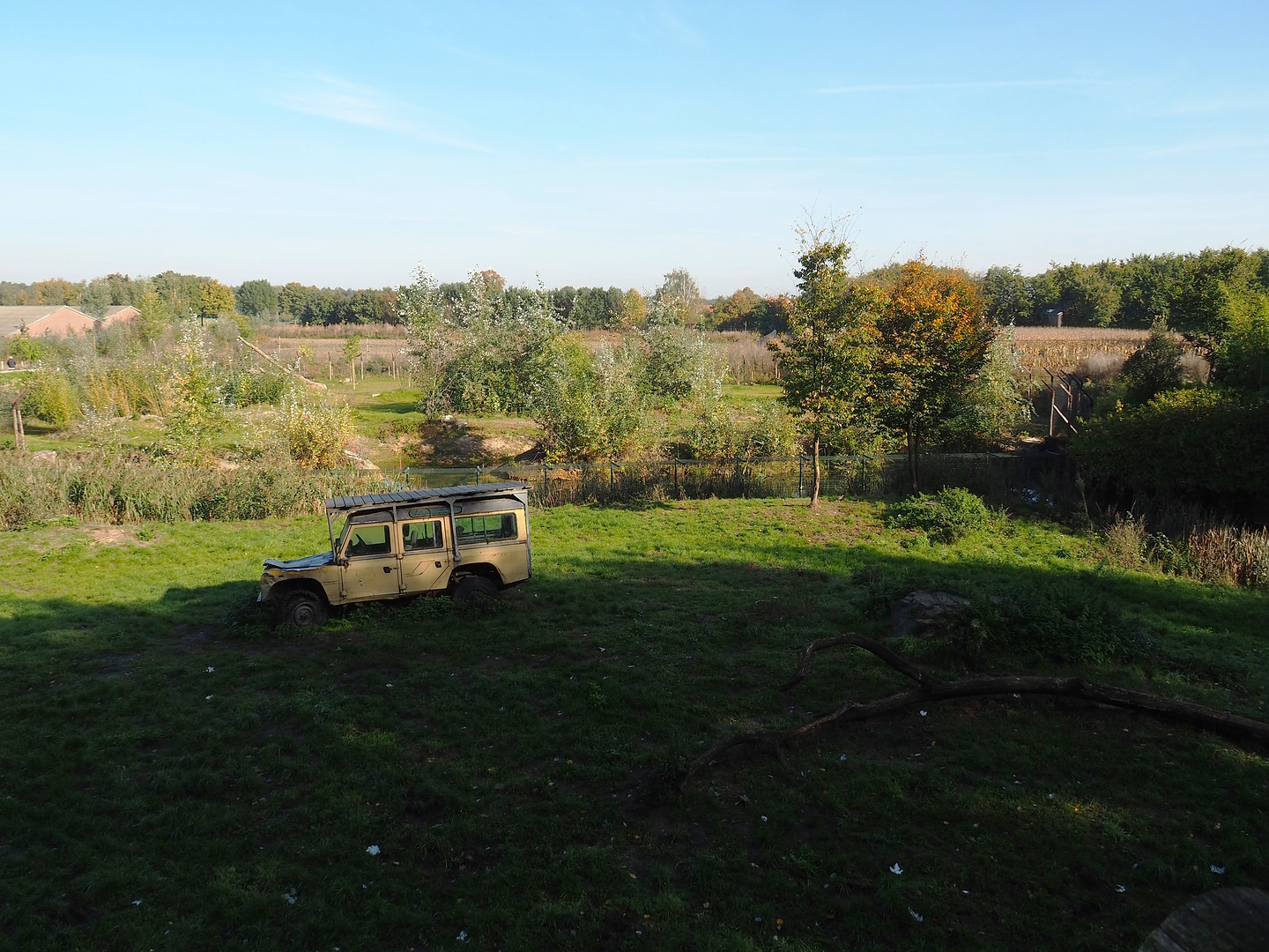 African lion exhibit, with new African wild dog exhibit behind it, 2022-10-09