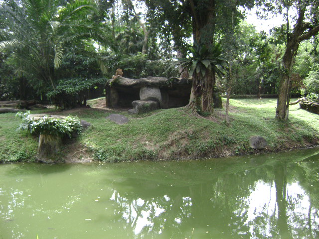African Lion Exhibit